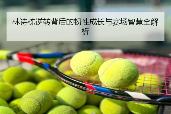林诗栋逆转背后的韧性成长与赛场智慧全解析